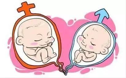 试管代孕费用多少门诊